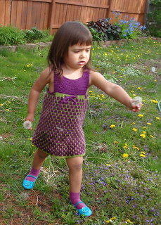 Here_s_a_dandelion_small2