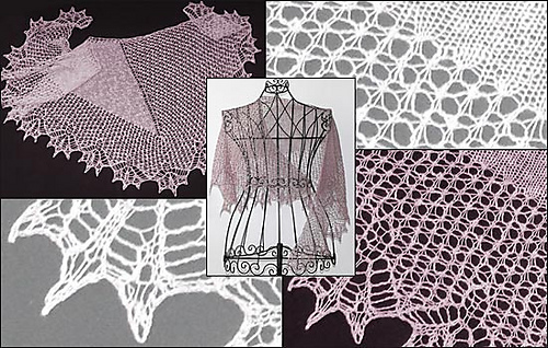 Tuch-bivalvia-col_medium