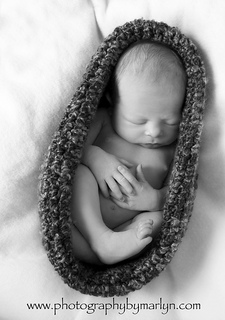 Blue_orange_nest_bw_small2
