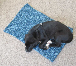 Beattys-blanket_small2