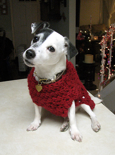 Judd_sweater_sitting_small2