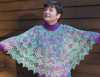 Poncho_on_spreadout_small2