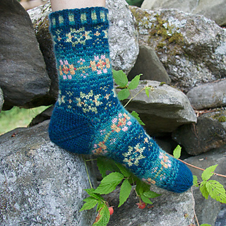 Evening_rose_socks_small2