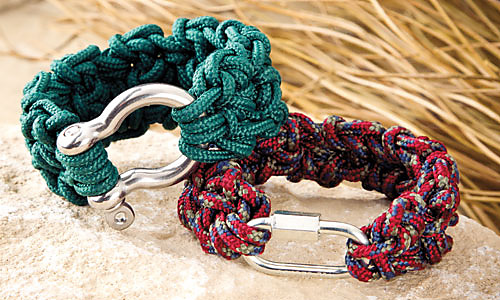 M22151_survival_300_medium