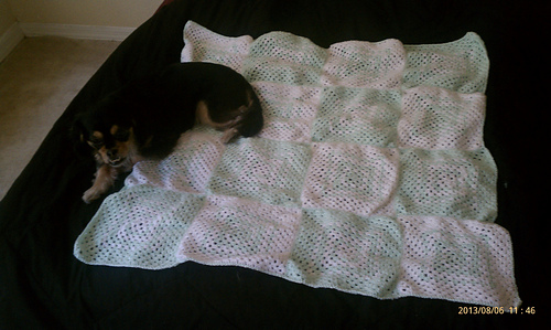Imag0512_medium