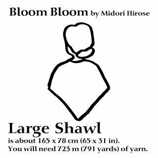 Large-shawl_small2