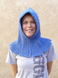 Hood_front_small2