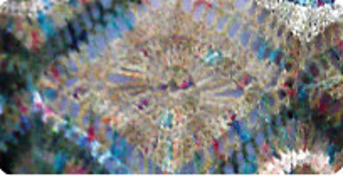 Diamond_shawl_close_up_2_medium