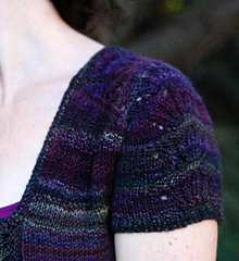 Isis_sleeve_small