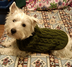 Casey_s_new_sweater