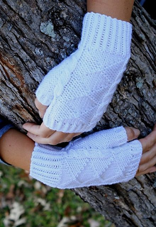 _img_7431_wtmitts_veta_small2