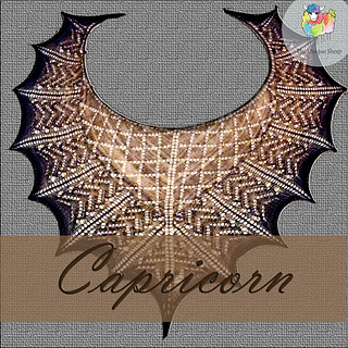 Capricorn3_small2