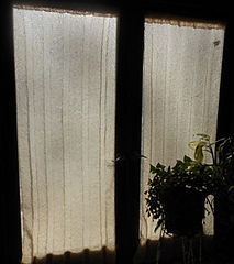 Curtains_small