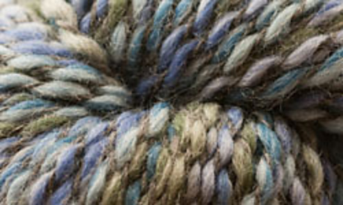 Essex_close_up_medium