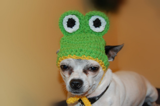 Frog1_small2