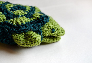 Turtle10_small2