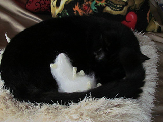 Lord_fbsleep_small2