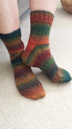 Loops___threads_socks_redwoods_3_7_2015_medium