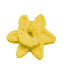 Daffodil_image_small