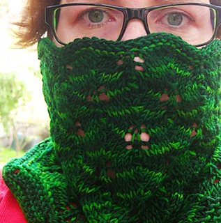 Fern2_small2