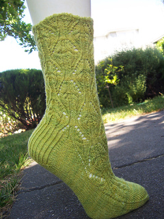 Verdsockcover_small2