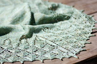 Greenshawlwhole_small2