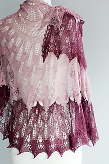 Fuchsia-1_small2