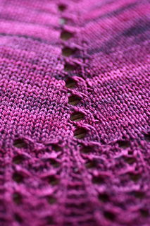 Shawlextraspine_small2