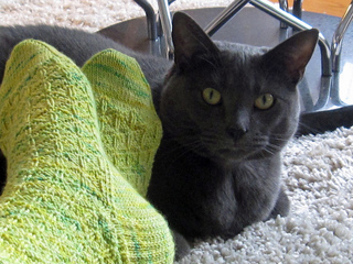 Charbon_s_eyes_4_small2