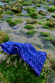 Tidalcowl_small2