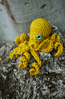 Ochre_octo_4_small2