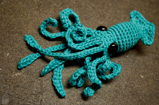 Cotton_squid_9_small2