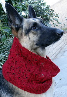 Been_to_desert_cowl_w_p_9-30-13_small2