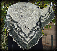 Aegeum_back_picm1-31-15_small