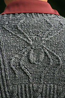 Spyder__small2