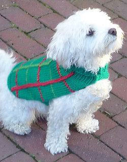 Doggy3_small2