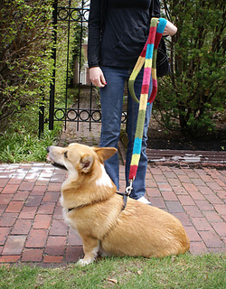 Leash2_small2