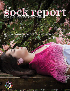 Cover_srvol1_small2
