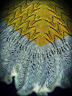Beautyshawl8_small2