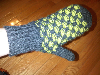 Img-20111126-03434_small2
