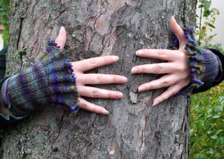 Kunigunde_baum_small2