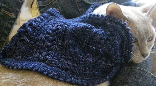 Zylcat2_medium