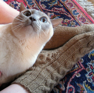 Title_cat_small2