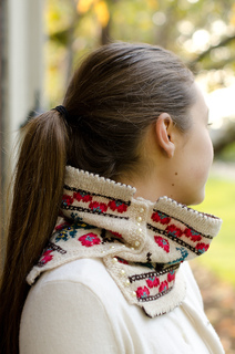 Peacockcowl_small2