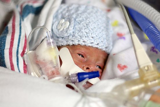 Tucker_4-weeks-old-1200grams-2lbs10oz09_small2