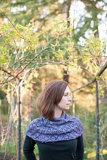 Melissa_s_shawl__25_of_48__small2