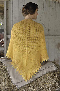 Smallback_small2
