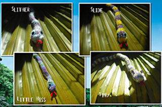 Anaconda_page_4_small2