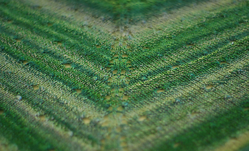 Limeade_fizz_5_medium2_medium