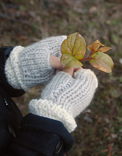 Dsc_0733_small2